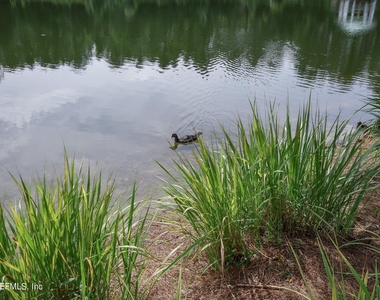 785 Oakleaf Plantation Parkway - Photo Thumbnail 46