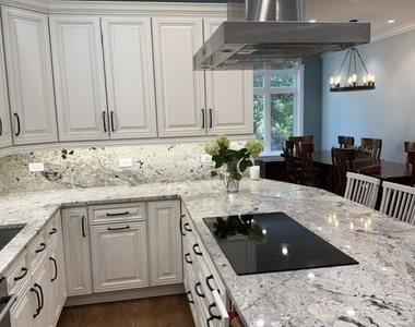 924 N Richmond Street - Photo Thumbnail 13