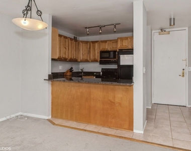 2650 N Lakeview Avenue - Photo Thumbnail 3
