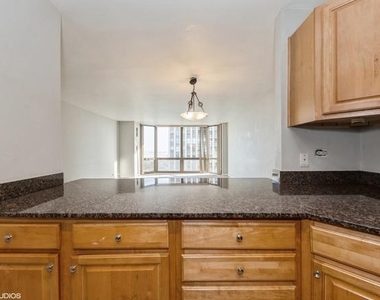2650 N Lakeview Avenue - Photo Thumbnail 5
