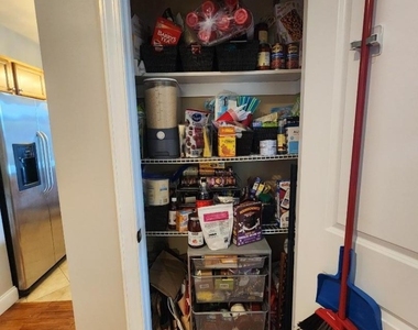 1677 Springfield Ave-8 - Photo Thumbnail 8
