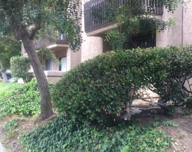 22100 Burbank Blvd - Photo Thumbnail 8