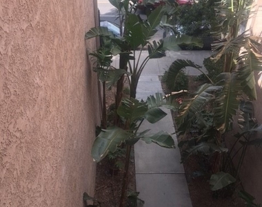 22100 Burbank Blvd - Photo Thumbnail 17