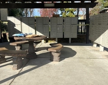 23310 Marigold - Photo Thumbnail 19