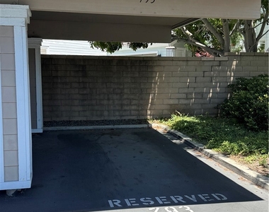 34008 Selva Road - Photo Thumbnail 12
