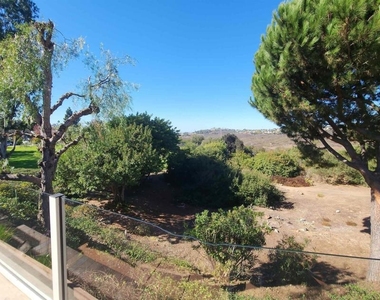 7245 Carpa Court - Photo Thumbnail 38