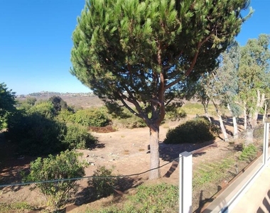 7245 Carpa Court - Photo Thumbnail 39