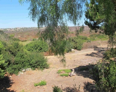 7245 Carpa Court - Photo Thumbnail 41