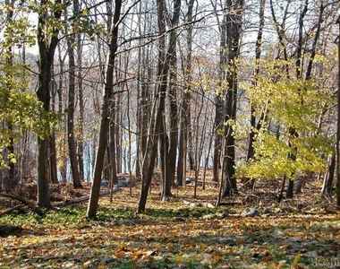 39a Laurelton Road - Photo Thumbnail 8