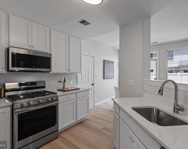 43290 Rush Run Terrace - Photo Thumbnail 28