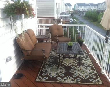 23093 Sunbury Street - Photo Thumbnail 23