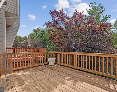 45514 Baggett Terrace - Photo Thumbnail 35