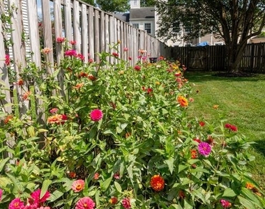 22082 Saint Clements Circle - Photo Thumbnail 22