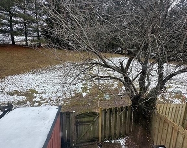 19611 Twinflower Circle - Photo Thumbnail 14