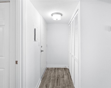 505 Plaza Seville Court - Photo Thumbnail 20