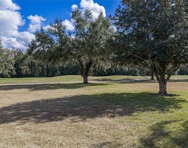 12518 Lake Jovita Boulevard - Photo Thumbnail 73