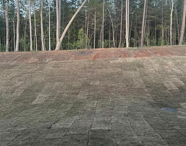 13123 Hampton Bay Lane - Photo Thumbnail 16