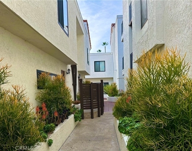 3525 Lebon Drive - Photo Thumbnail 2