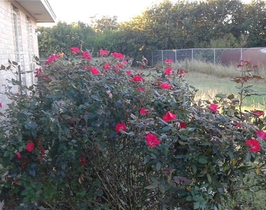20120 Keilman Ln - Photo Thumbnail 11