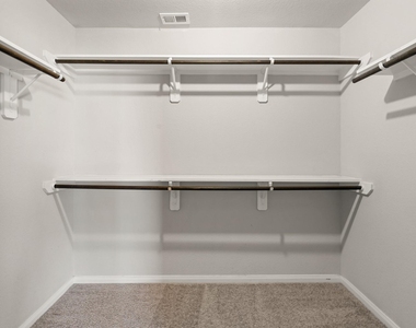 24806 Bastiani Canvas Lane - Photo Thumbnail 27