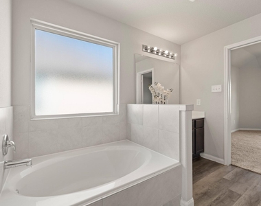 24806 Bastiani Canvas Lane - Photo Thumbnail 39