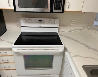 1095 Coral Club Drive - Photo Thumbnail 13
