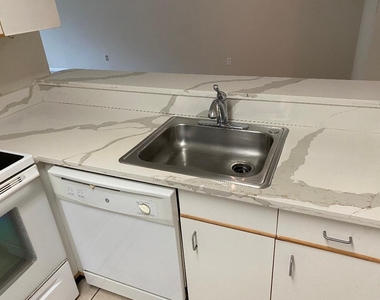 1095 Coral Club Drive - Photo Thumbnail 12