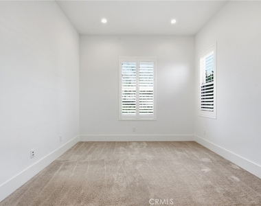 54 Cardamine - Photo Thumbnail 37
