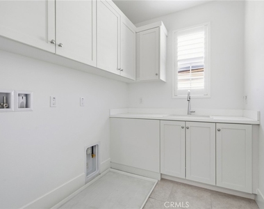 54 Cardamine - Photo Thumbnail 43