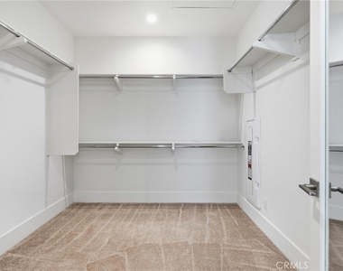 54 Cardamine - Photo Thumbnail 31