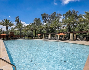 54 Cardamine - Photo Thumbnail 9