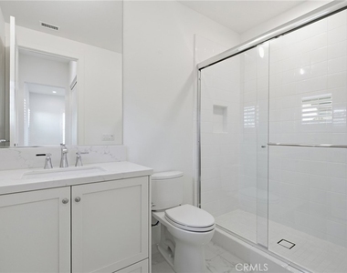 54 Cardamine - Photo Thumbnail 38