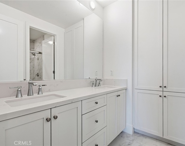 54 Cardamine - Photo Thumbnail 40