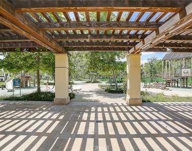 54 Cardamine - Photo Thumbnail 4