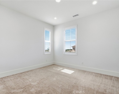 54 Cardamine - Photo Thumbnail 42