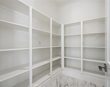 54 Cardamine - Photo Thumbnail 24