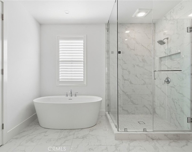 54 Cardamine - Photo Thumbnail 30