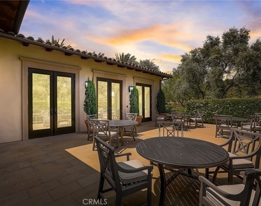 54 Cardamine - Photo Thumbnail 12