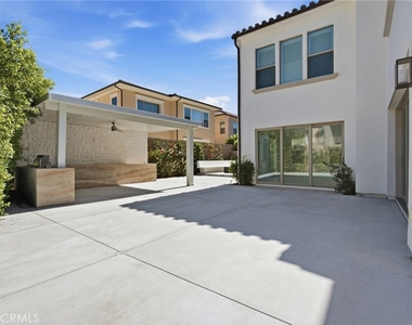 54 Cardamine - Photo Thumbnail 33
