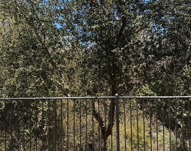 4101 Avenida Ar - Photo Thumbnail 19