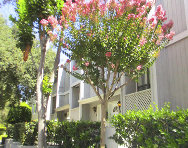 965 E Del Mar Boulevard - Photo Thumbnail 1
