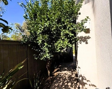 2019 Stargazer Ln - Photo Thumbnail 31