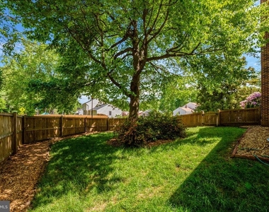 9220 Burnetta Drive - Photo Thumbnail 22