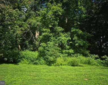 411 Stiles Avenue - Photo Thumbnail 11