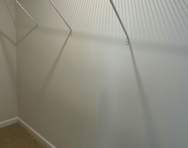 8741 Asher Gray Way - Photo Thumbnail 11