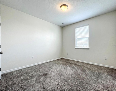 15319 Willow Arbor Circle - Photo Thumbnail 49