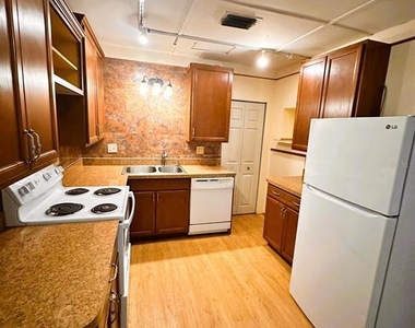 1007 Flamingo Drive - Photo Thumbnail 4