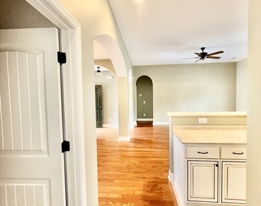 1038 Sand Dollar Way - Photo Thumbnail 6