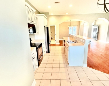 1038 Sand Dollar Way - Photo Thumbnail 3