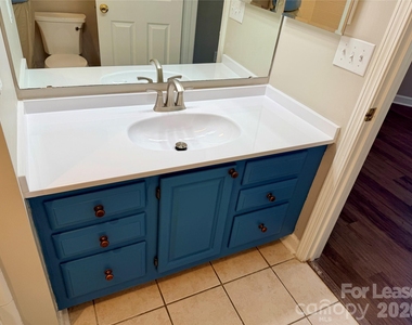 18771 Vineyard Point Lane - Photo Thumbnail 16